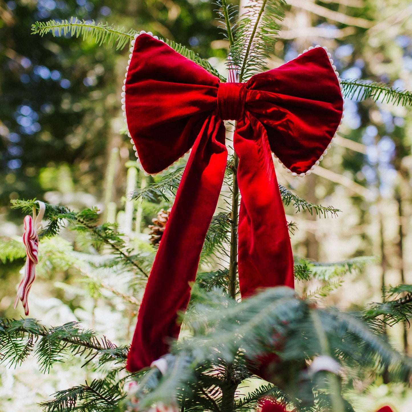 Large decorative bows