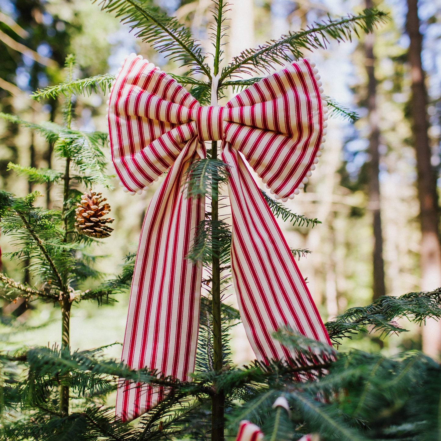 Large decorative bows