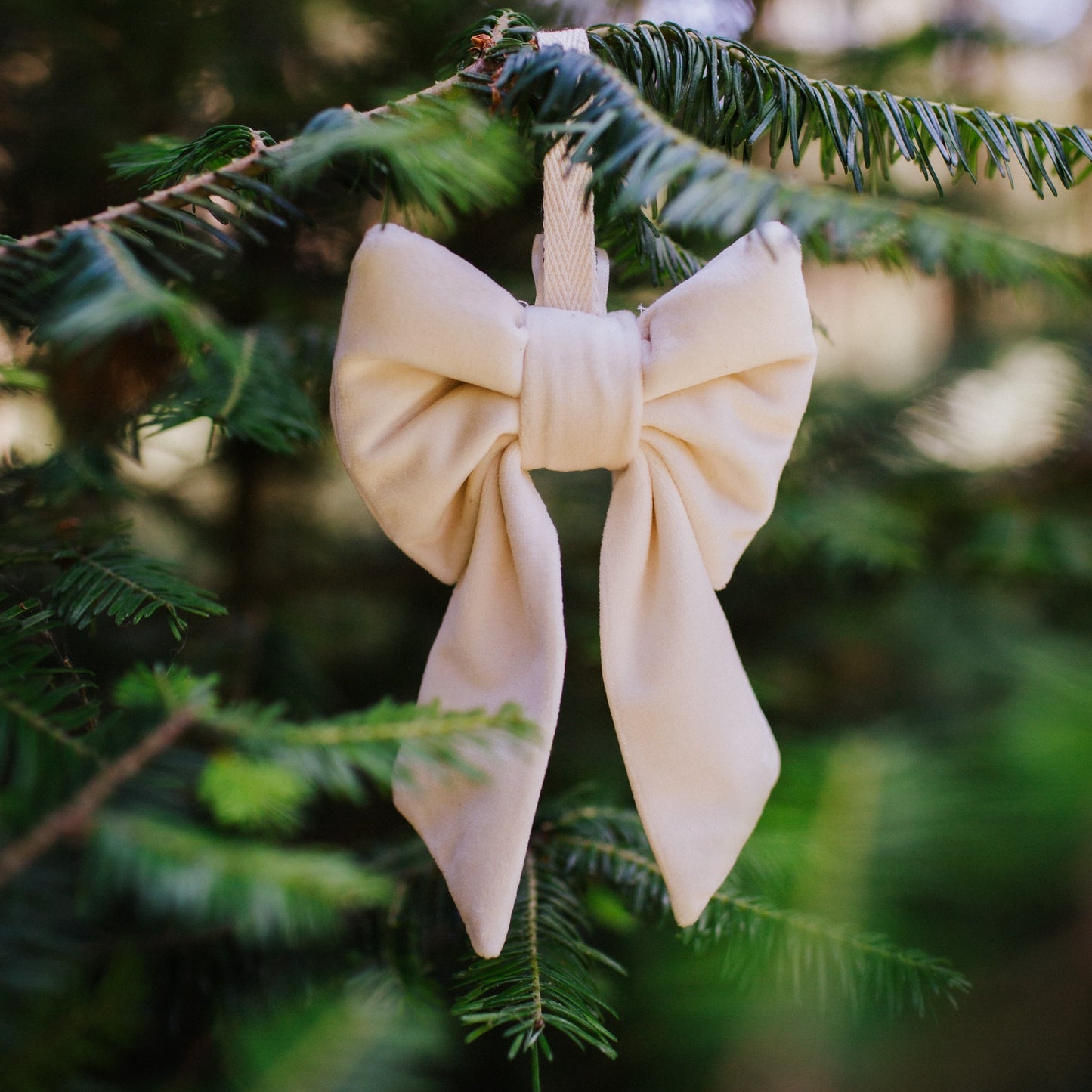 Bow Decorations