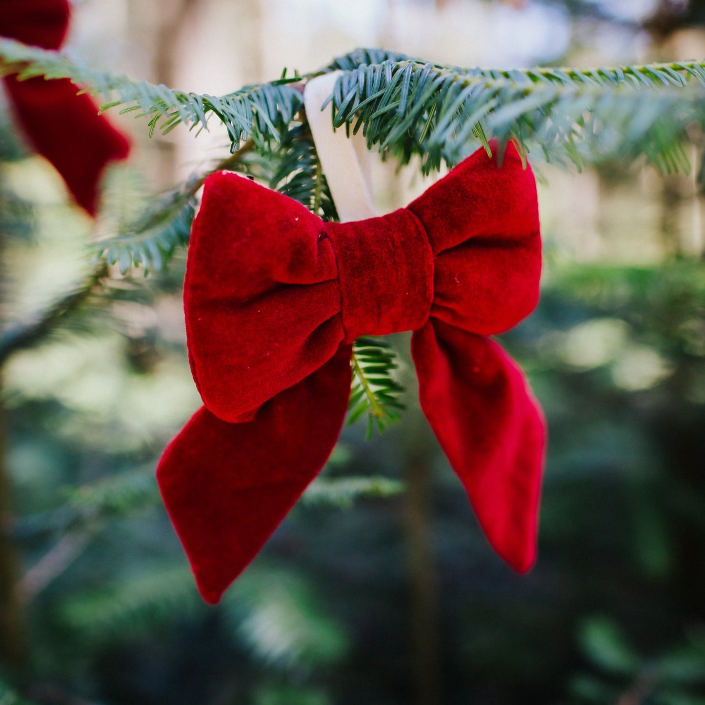 Bow Decorations