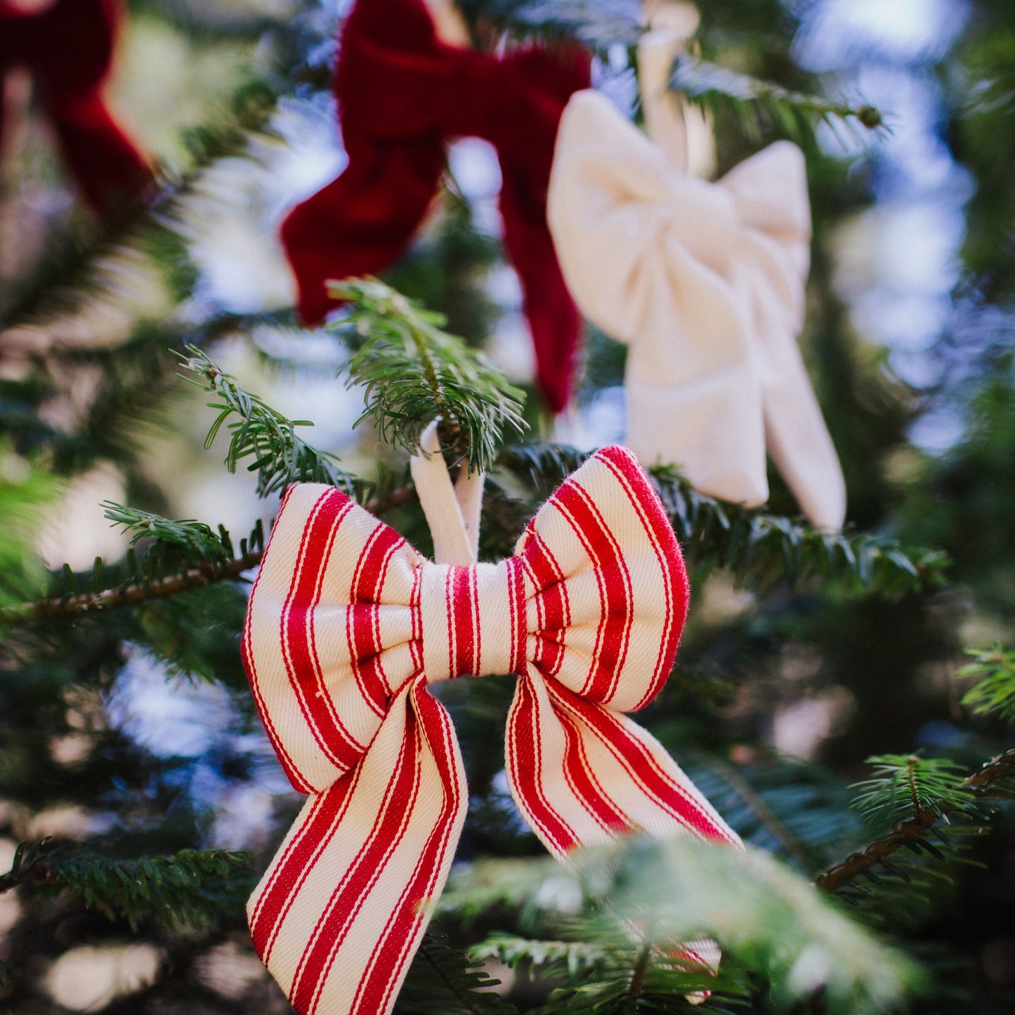 Bow Decorations