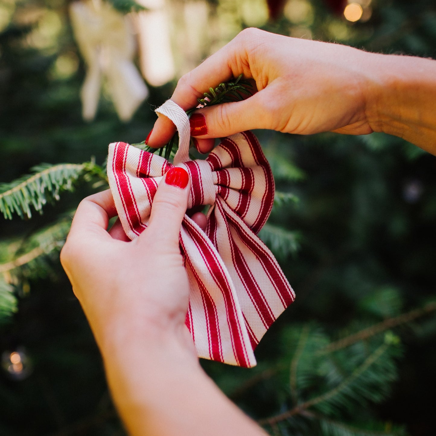 Bow Decorations