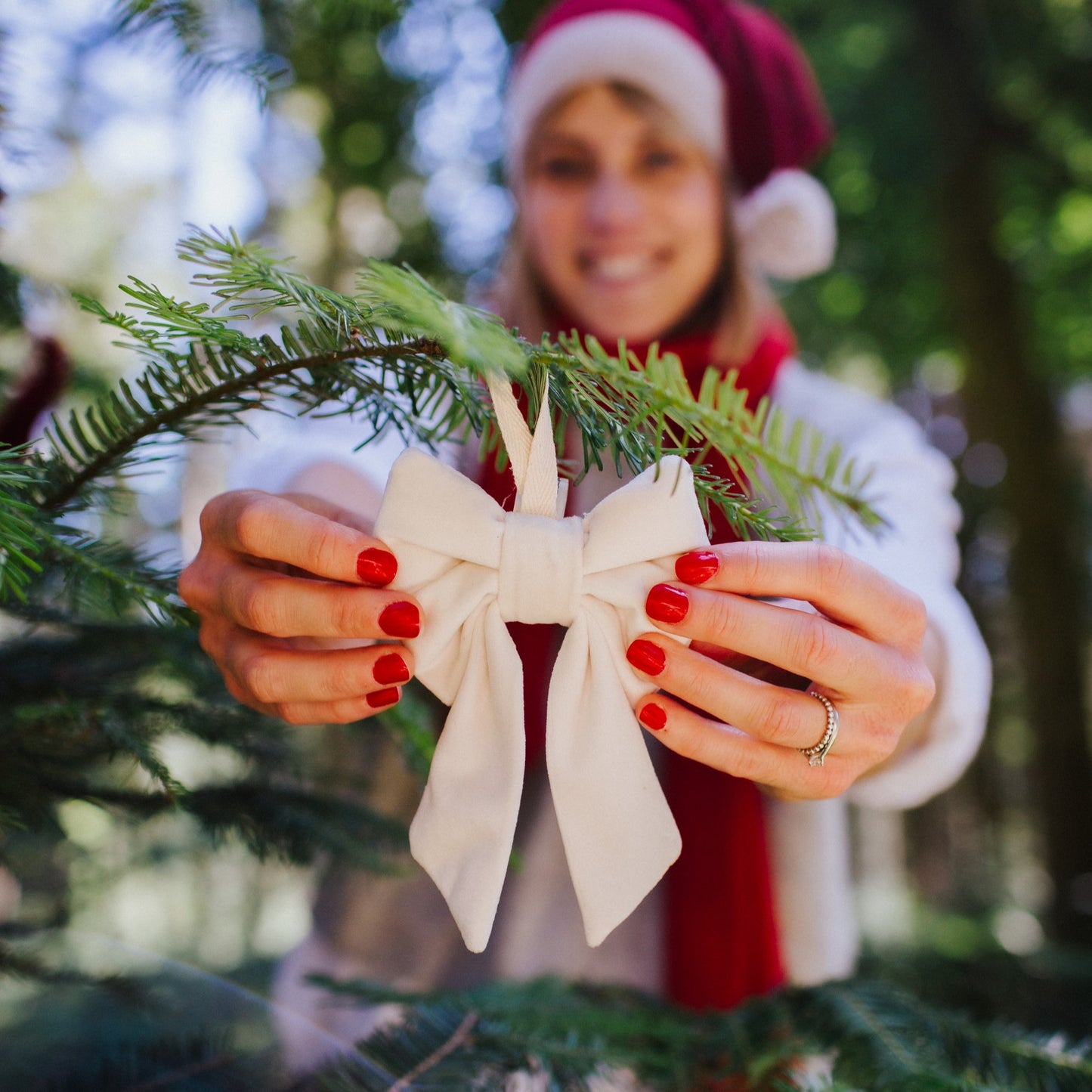 Bow Decorations